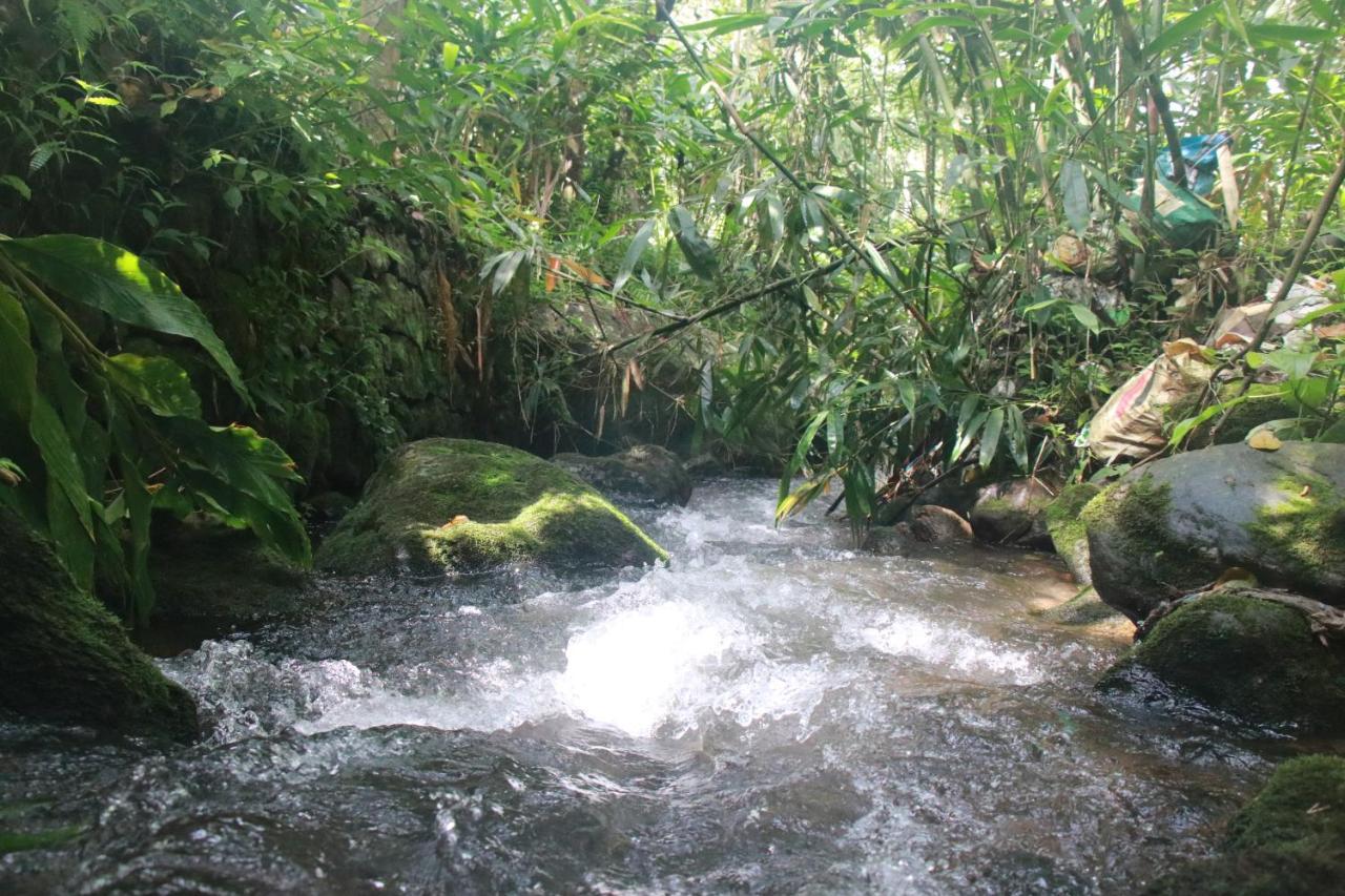 Nature Routes Cottage Munnar Extérieur photo